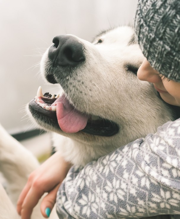 Besitzerin knuddelt mit Ihrem Hund